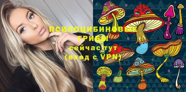 мет Белокуриха