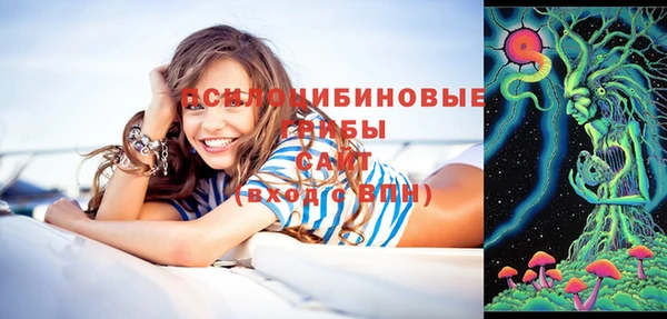 ECSTASY Богородицк