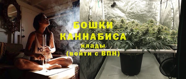 не бодяженный Богданович
