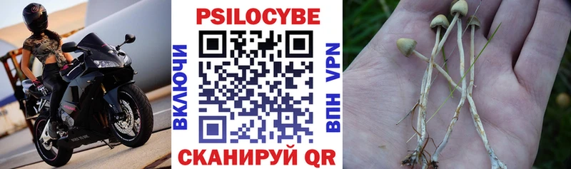 купить наркотик Белая Калитва Галлюциногенные грибы Psilocybine cubensis